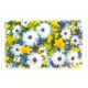 S 604/06 - Blomsterprakt