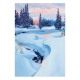 2515 - Vinterskymning
