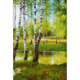 2604 - En glimt av sommar