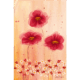 2603 - Anemoner