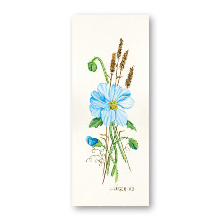 Minibrevpapper 2608 - Blå vallmo